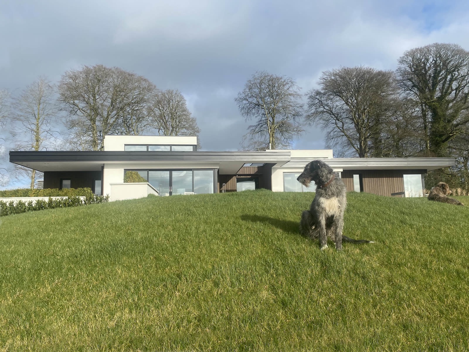 Cabra House